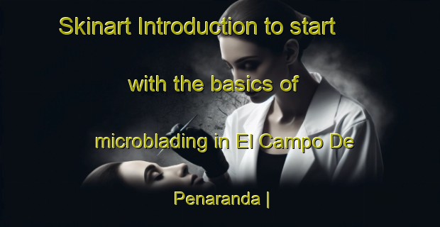 Skinart Introduction to start with the basics of microblading in El Campo De Penaranda | MicrobladingTraining | MicrobladingClasses | SkinartTraining-Spain